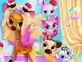 Gra Pets Grooming Bubble Party w Internecie
