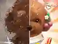 Gra Pet Makeup Master w Internecie