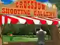 Gra Crossbow Shooting Gallery w Internecie