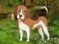 Gra Flower Garden Dog Escape w Internecie