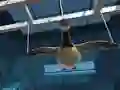 Gra Goose Museum w Internecie