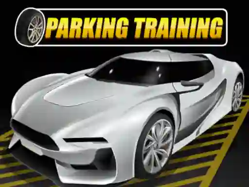 Gra Parking Training w Internecie