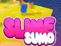 Gra Sumo Slime 3D w Internecie