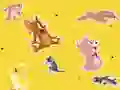 Gra The Tom and Jerry Show Find it! w Internecie