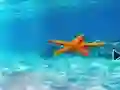 Gra Escape From Underwater Starfish w Internecie