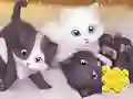 Gra Jigsaw Puzzle: Playing Cats w Internecie