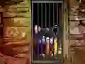 Gra Hidden Cat Escape w Internecie