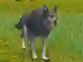 Gra The Wolf: Wild Animal Simulator w Internecie