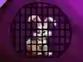 Gra Silly Rabbit Rescue w Internecie