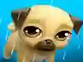 Gra My Virtual Pet Louie the Pug w Internecie