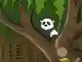 Gra Panda Jungle Escape w Internecie