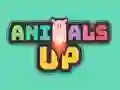 Gra Animals Up w Internecie