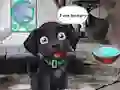 Gra Feed Hungry Black Dog w Internecie
