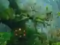 Gra Innocent Sparrow Couple Escape w Internecie