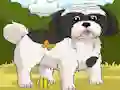 Gra Dogs Spot the Diffs Part 2 w Internecie