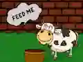Gra Find The Cow Feed w Internecie