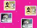 Gra Baby Looney Tunes Match Up w Internecie