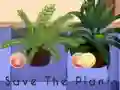 Gra Save the Plants w Internecie