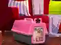 Gra Escape The Small Pug w Internecie