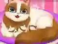 Gra Cute Kitty Pregnant w Internecie