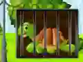 Gra Turtle Fiery Escape w Internecie