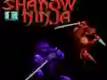Gra Shadow of the Ninja w Internecie