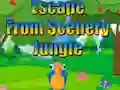 Gra Escape from Scenery Jungle w Internecie