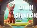 Gra Kangaroo Cavern Escape w Internecie