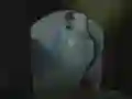 Gra Find The Precious Diamond w Internecie