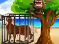 Gra Seaside Struggle w Internecie