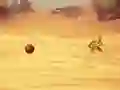 Gra Monkey Shooting w Internecie