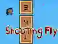 Gra Shooting Fly w Internecie