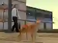 Gra Cat City Simulator w Internecie