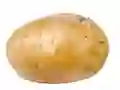 Gra Potato w Internecie