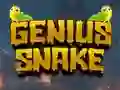 Gra Genius Snake w Internecie