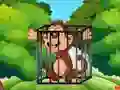 Gra Free the Captive Ape w Internecie