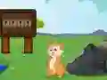 Gra Rescue the Squirrel from Stone w Internecie