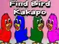 Gra Find Bird Kakapo w Internecie