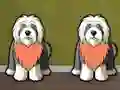 Gra Find Dog Bailey w Internecie
