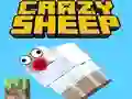 Gra Crazy Sheep w Internecie