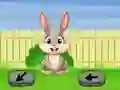 Gra Springtime Escape w Internecie