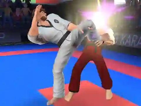 Gra Karate Fighter w Internecie