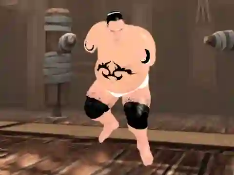 Gra Sumo Fury w Internecie