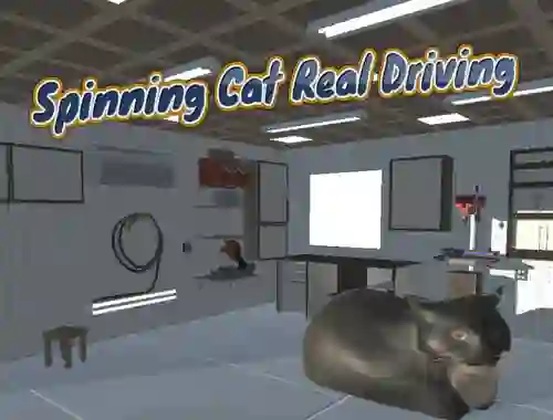 Gra Spinning Cat Real Driving w Internecie