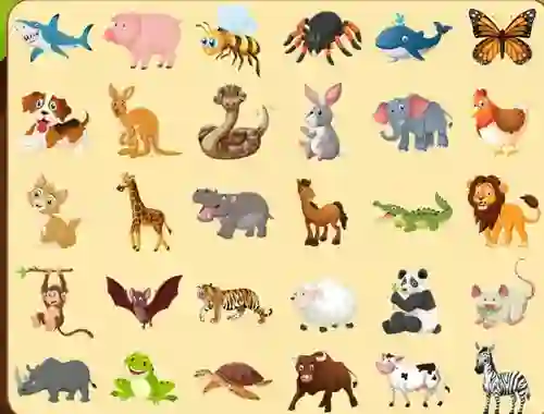 Gra Discover Animals w Internecie