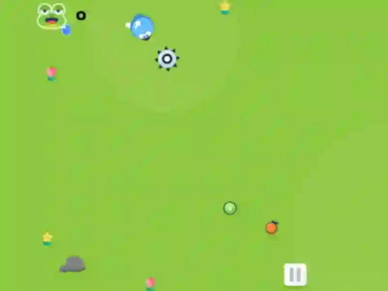 Gra Snake And Fruits w Internecie
