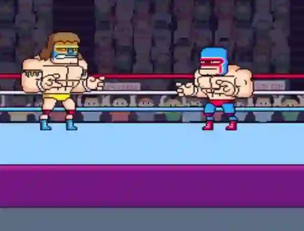 Gra Rowdy City Wrestling w Internecie