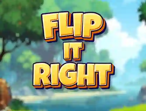 Gra Flip It Right w Internecie