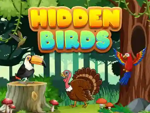 Gra Hidden Birds w Internecie