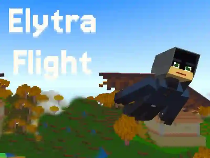 Gra Elytra Flight w Internecie